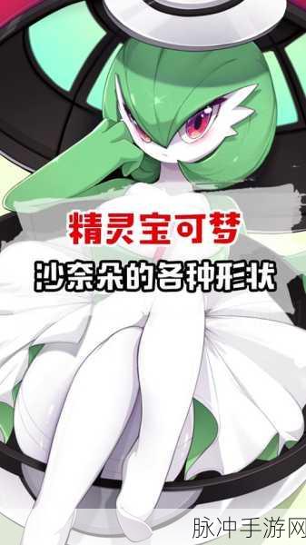 宝可梦激战新境界,狂桶沙奈朵出血,踏上极限挑战之旅