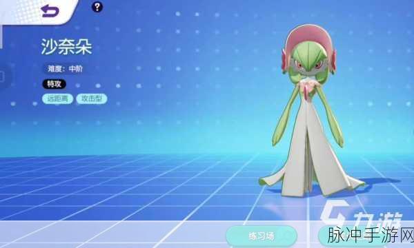 宝可梦激战新境界,狂桶沙奈朵出血,踏上极限挑战之旅