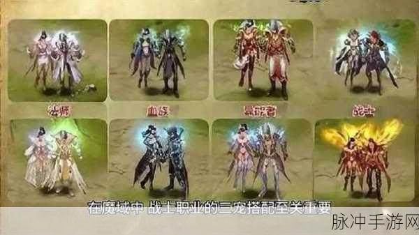 魔域战士BB搭配全攻略,打造无敌战斗组合