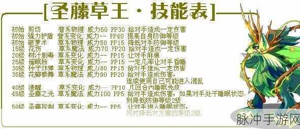 洛克王国星辰塔深度攻略,圣藤草王的终极挑战秘籍