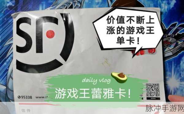 游戏王蕾雅卡包深度解析,哪款才是你的菜?
