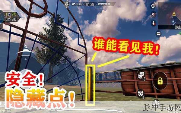 2025年热门躲猫猫游戏大赏,揭秘使命召唤手游躲猫猫玩法精髓