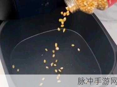 橡子屋深度探索,揭秘令人垂涎的爆米花秘制秘诀