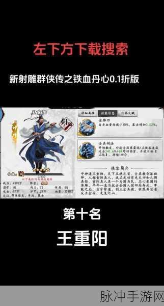 射雕群侠传之铁血丹心,深度攻略助你驰骋江湖
