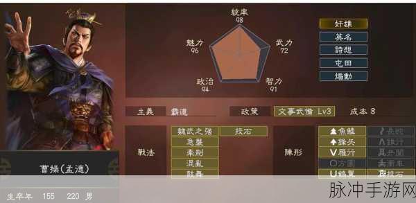 探秘三国荣耀深处,神话三国志功勋全解析