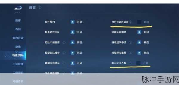 王者荣耀隐藏玩家设置全攻略,保护隐私,低调上分