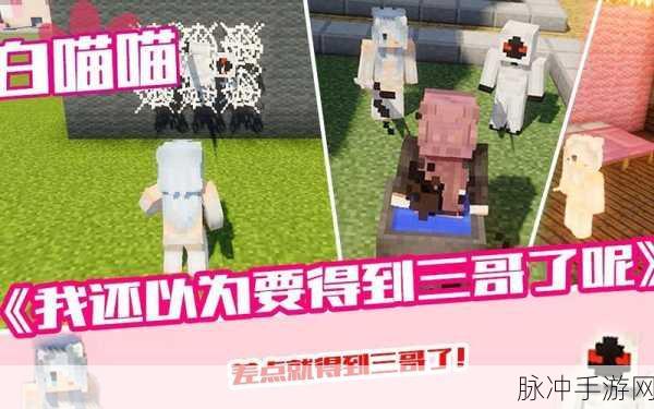 我的世界白喵家族揭秘,白喵真的有妹妹吗?