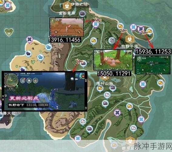 创造与魔法,揭秘云鸟刷新几率最高的必刷点