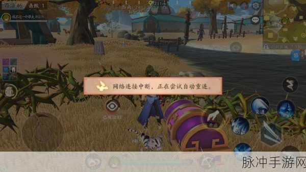 风云岛行动金币获取全攻略,助你快速累积财富
