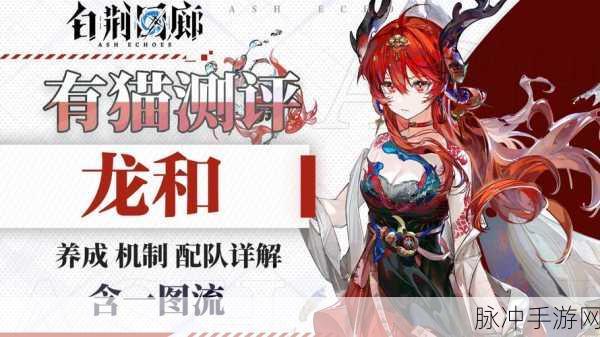 白荆回廊暗巷漆影烙痕,全面剖析与实战应用