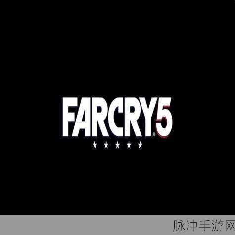 孤岛惊魂5联机全攻略,与好友共赴冒险之旅