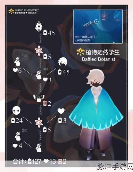 光遇雨林桥亭谜题解锁,一步步带你穿越难关