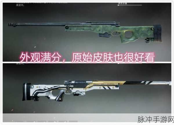 和平精英高手必备,AWM狙击枪绘制教程大揭秘