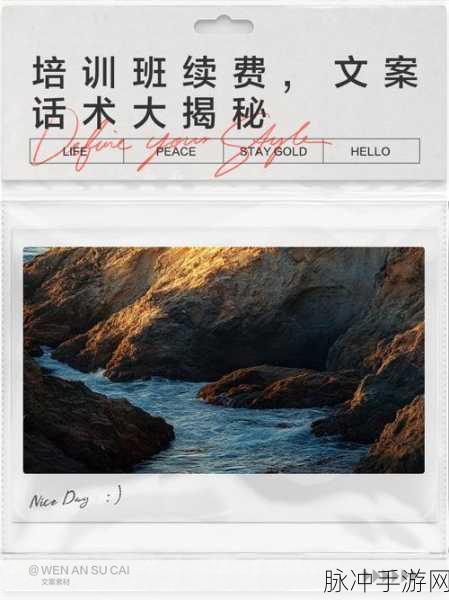 高考之路,策略卡牌新体验,下载开启智慧之旅