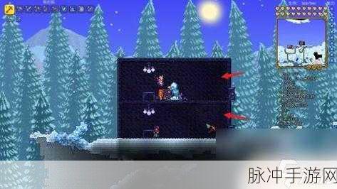 泰拉瑞亚新纪元,冰雪人鱼与冰晶之舞的奇幻探索