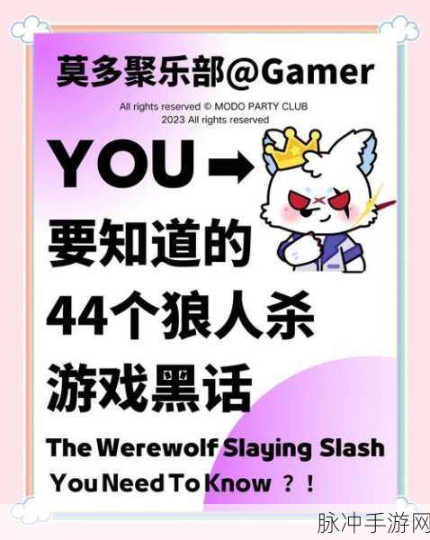 狼人杀术语揭秘,警上与警下的深度解析