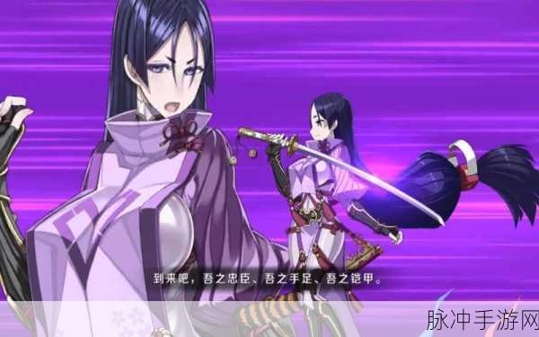 FGO X毛宝具本强化深度剖析,伤害飙升、生存力跃升与增益效果全面升级