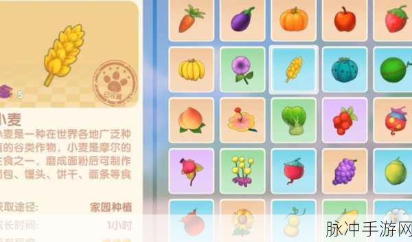 摩尔庄园,金矿石采集秘籍,解锁高效与珍稀的双重宝藏