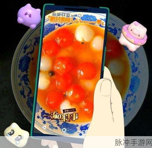摩尔庄园,解锁锦绣八宝饭的美味秘籍