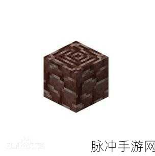 我的世界,秘境追踪远古残骸,迷失深渊新探险启程