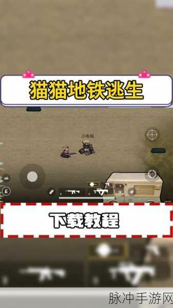 地铁逃生,萌宠助战,小狗小猫谁领风骚?宠物选择终极指南