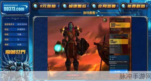 魔兽世界313版本,揭秘那些猛职业背后的秘密