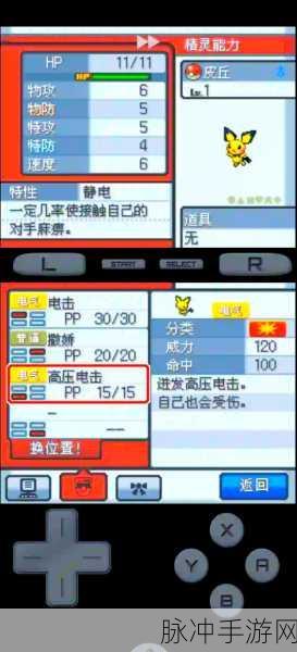 口袋妖怪银魂属性攻击全解析,物理与特殊攻击大不同