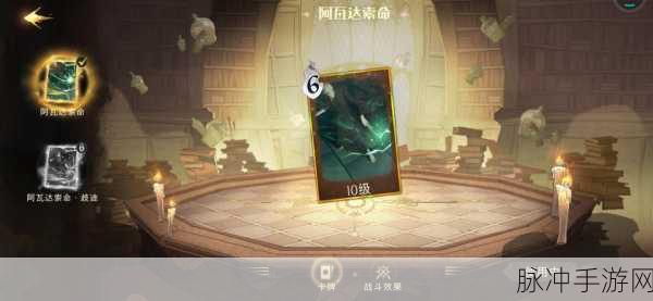 哈利波特魔法觉醒,掌握阿瓦达索命咒,成为决斗场霸主