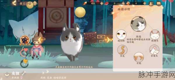 忘川风华录喵友修行,灵猫修行之旅全揭秘