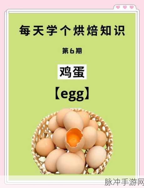 美食秘籍大揭秘,解锁创造与魔法中的鸡蛋奥秘