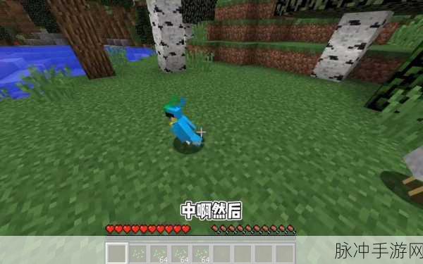 我的世界鹦鹉习性揭秘,驯服与互动全攻略
