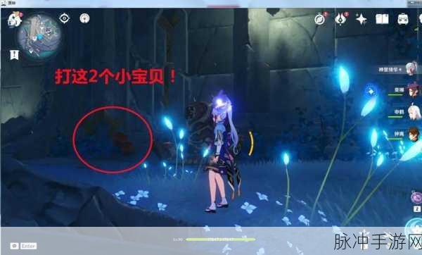 原神光昼影底集获取全攻略