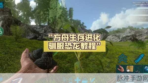 方舟,生存进化深度探索,揭秘恐龙孵化系统的奥秘