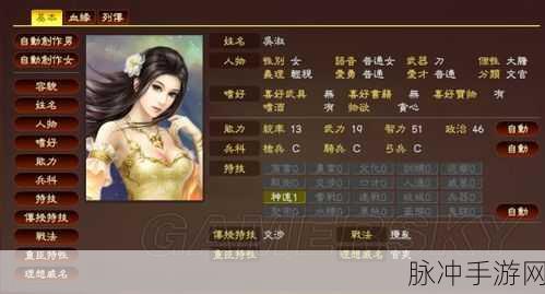 三国志13自创武将读取全攻略,轻松打造你的专属英雄