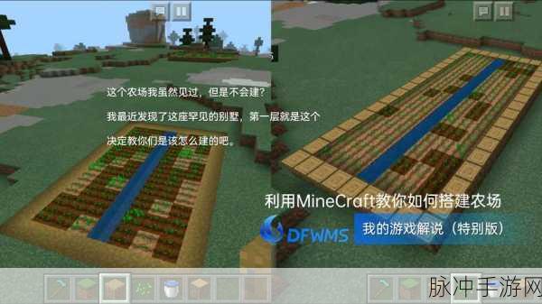 我的世界农田搭建全攻略,打造你的丰收乐园