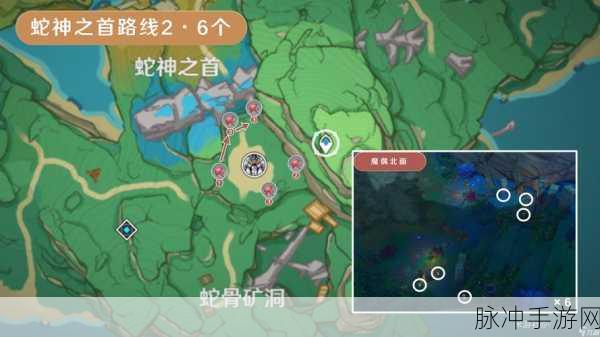 原神血斛刷新点位全揭秘,助你高效采集!