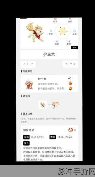 洛克王国宠物养成迈入新篇章,音速犬超进化全攻略