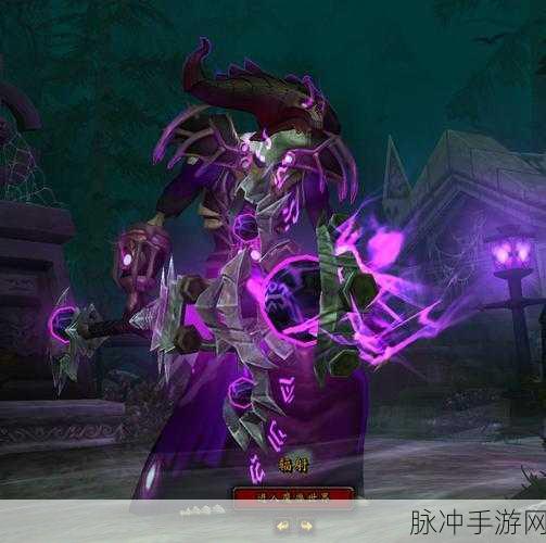 魔兽世界,解锁载风迅疾幼龙银色与紫色护甲的秘籍