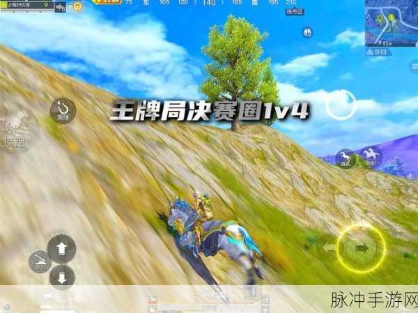 刺激战场中后期策略,掌握决赛圈制胜技巧