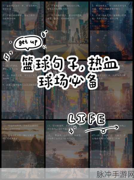 热血激战,永不言败!战斗无止境手游带你领略极致竞技快感
