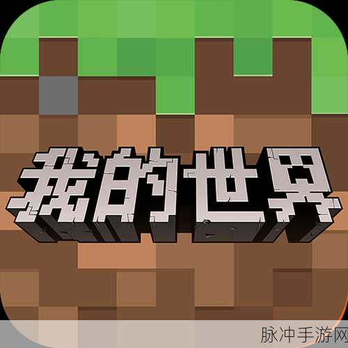 多玩我的世界盒子国际版安卓APK,探索无限创意的沙盒之旅