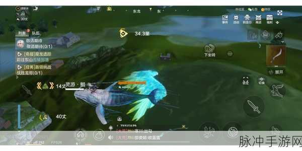 妄想山海羽骏位置全揭秘,资深玩家的探索之旅