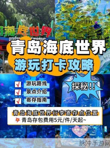 我的世界热带鱼繁殖秘籍,打造梦幻海底世界