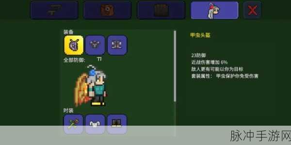 泰拉瑞亚,乌龟套VS甲虫套,哪个更胜一筹?