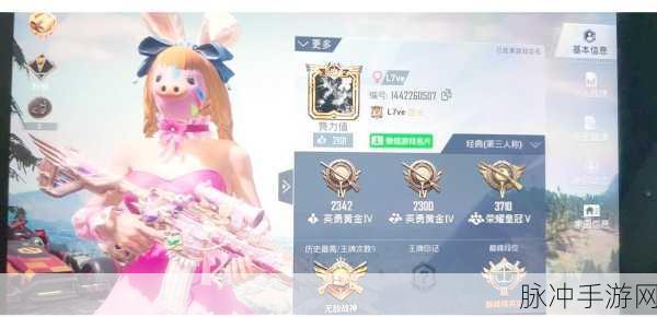 和平精英皮肤交易揭秘,能否变现成现金?