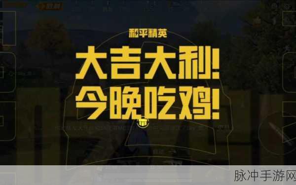 和平精英吃鸡平板精选指南,助你驰骋战场