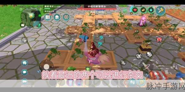 创造与魔法,农耕管理台升级全攻略