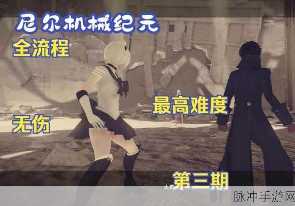 尼尔机械纪元夏娃攻略,深度揭秘战斗技巧与策略