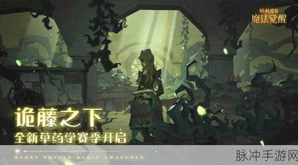 哈利波特:魔法觉醒——沉浸式魔法之旅，让我彻底沦陷！