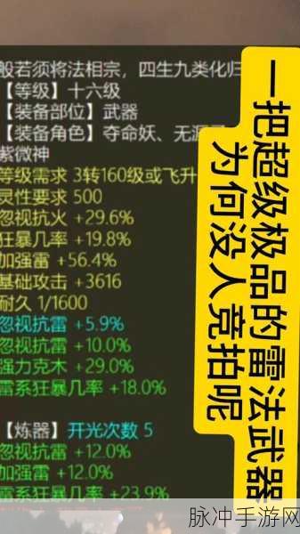 大话西游手游,揭秘仙族雷法变身卡的最优选择